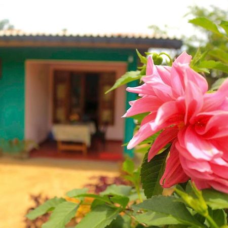 Yoho Nilmini Homestay Procida Dış mekan fotoğraf